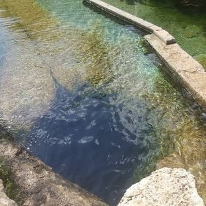 Meet your Posher, Gabriel